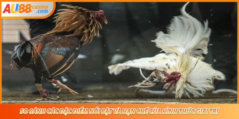 So sánh các đặc điểm nổi bật và hạn chế của hình thức giải trí.